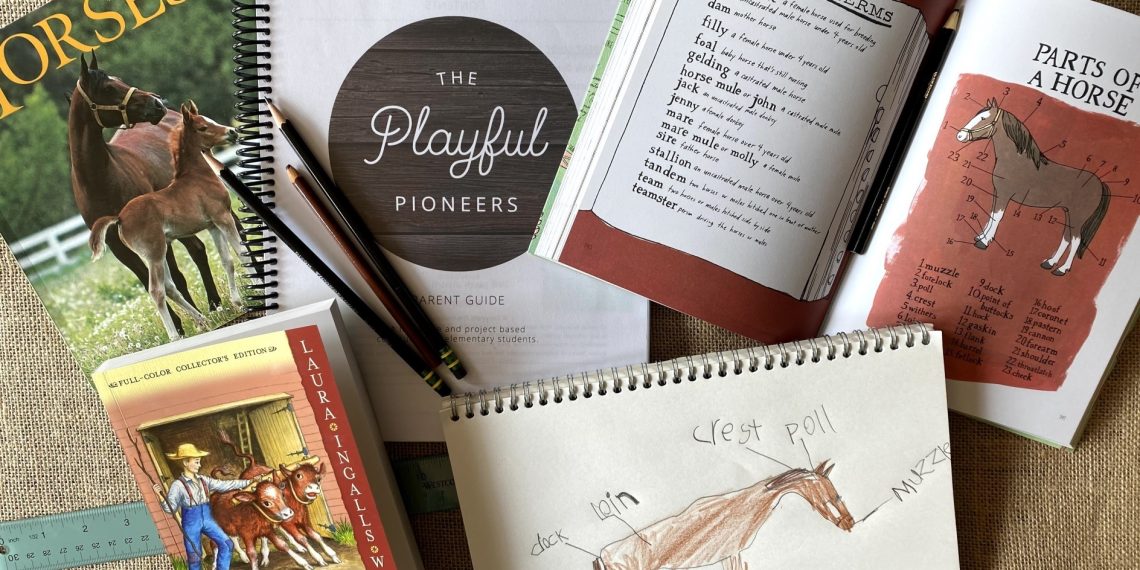 Homeschool Recap 2021/22 – The Playful Pioneers