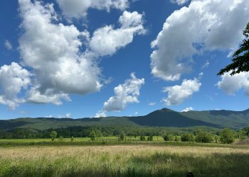 Visiting Smoky Mountains National Park with Kids