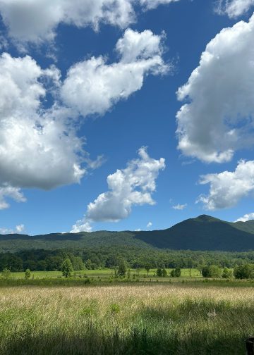 Visiting Smoky Mountains National Park with Kids